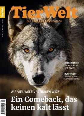 Cover TierWelt vom 23.03.2023