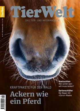Cover TierWelt vom 06.10.2022