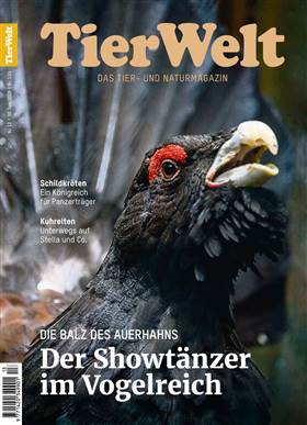 Cover TierWelt vom 30.06.2022