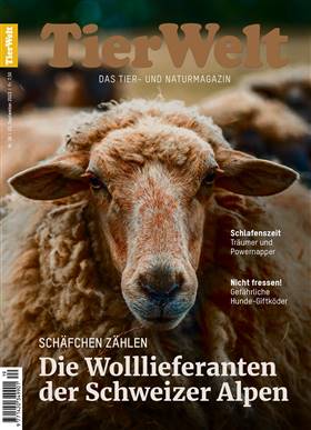 TierWelt vom 21.09.2023 Cover TierWelt vom 21.09.2023