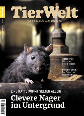 Cover TierWelt vom 17.11.2022